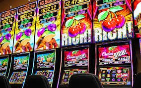 4966bet